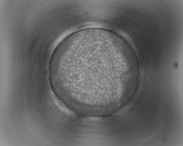 X0000114691427200911181243