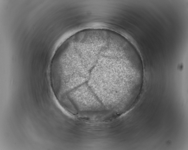 X0000114691429200911181243