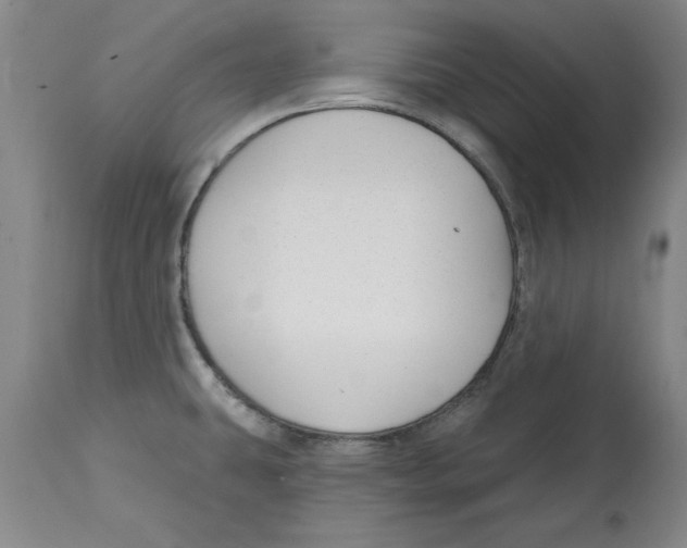 X0000114691431200911181243