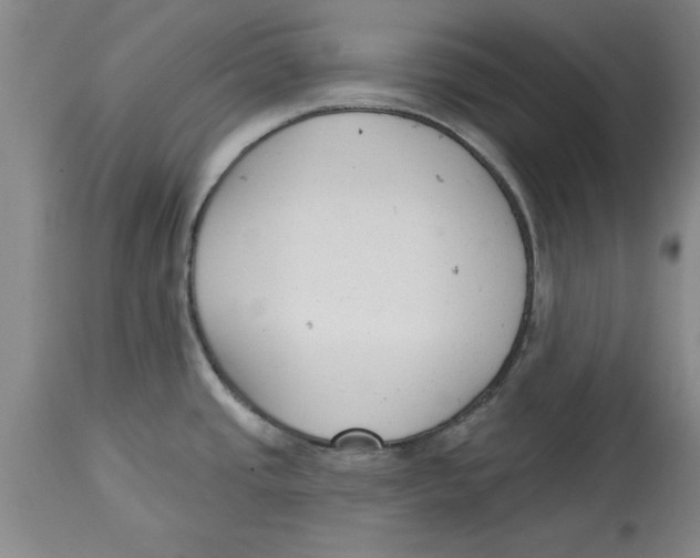 X0000114691437200911181243