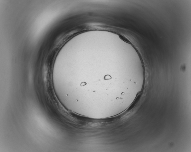 X0000114691438200911181243