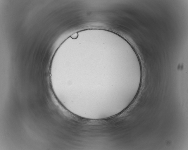 X0000114691440200911181243