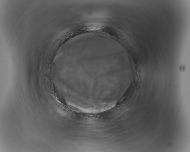 X0000114691441200911181243