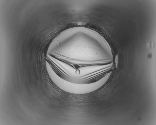 X0000114691443200911181243