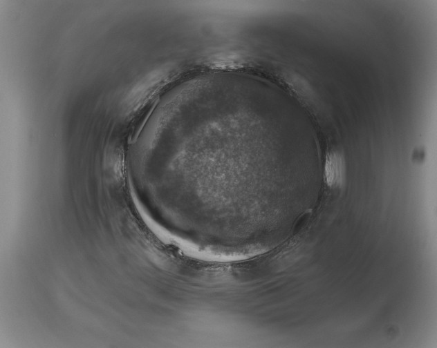 X0000114691444200911181243