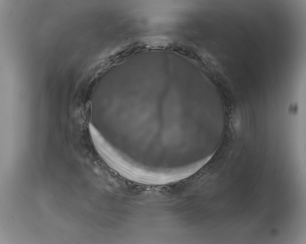 X0000114691445200911181243