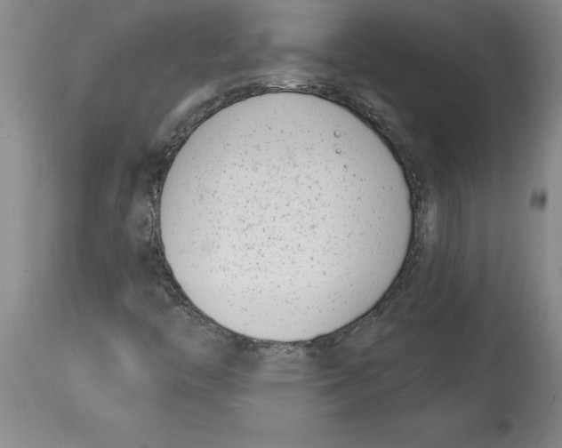 X0000114691446200911181243