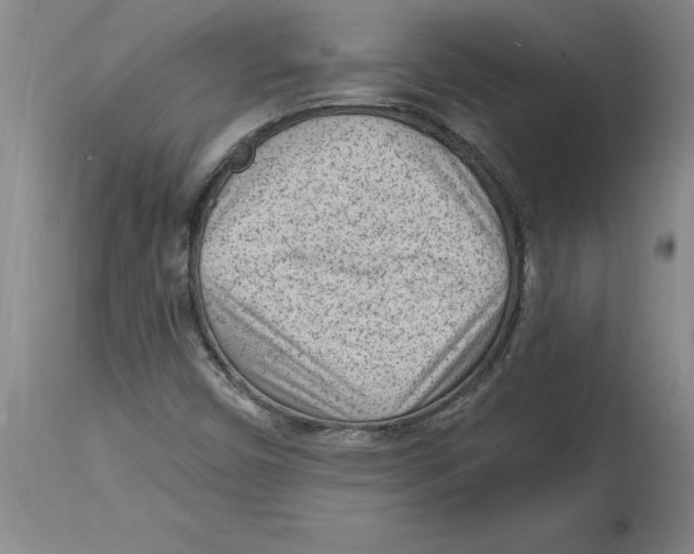 X0000114691450200911181242