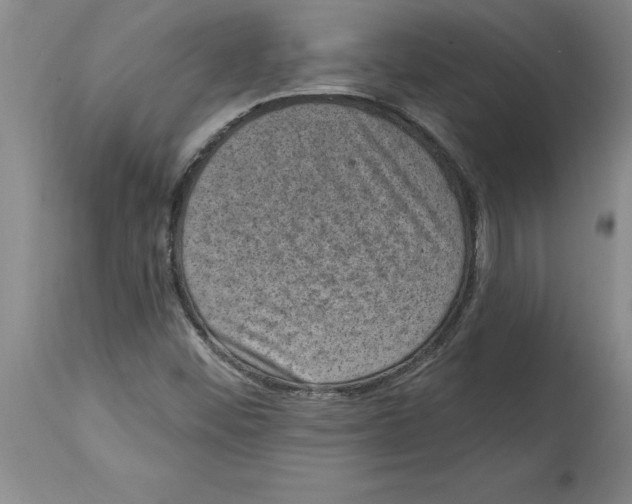 X0000114691452200911181242