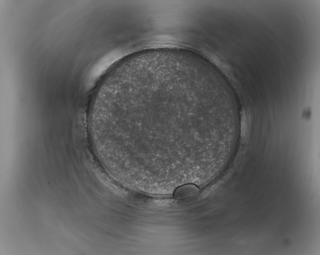 X0000114691453200911181242