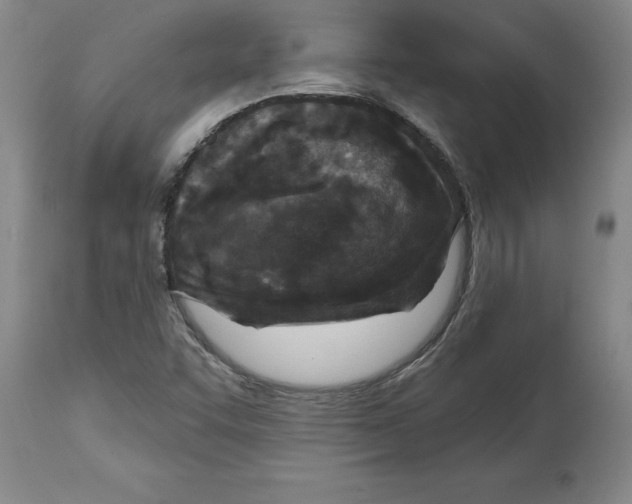 X0000114691455200911181242