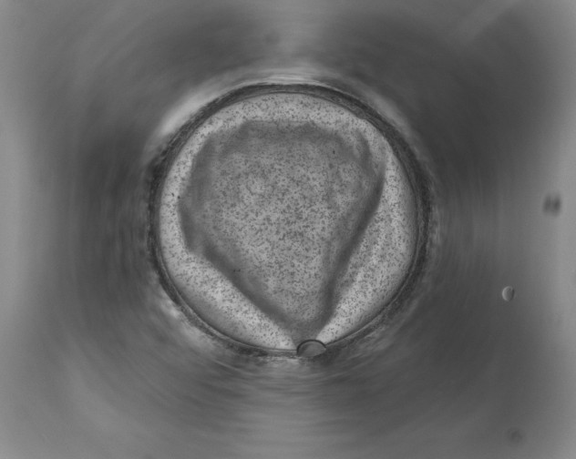 X0000114691456200911181242