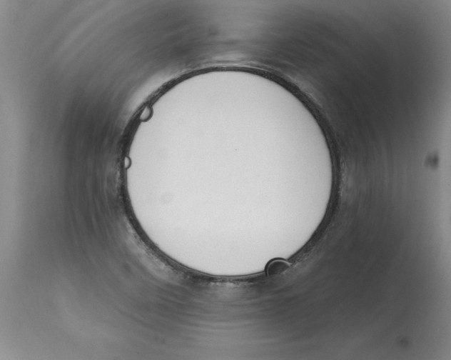 X0000114691458200911181242