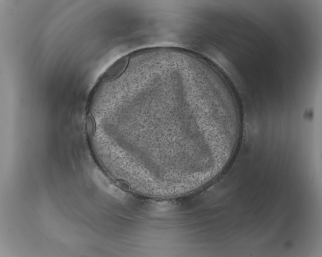 X0000114691460200911181242