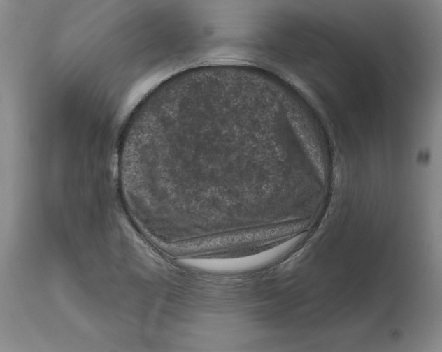 X0000114691461200911181242