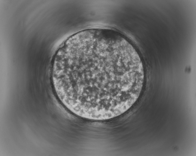 X0000114691463200911181242