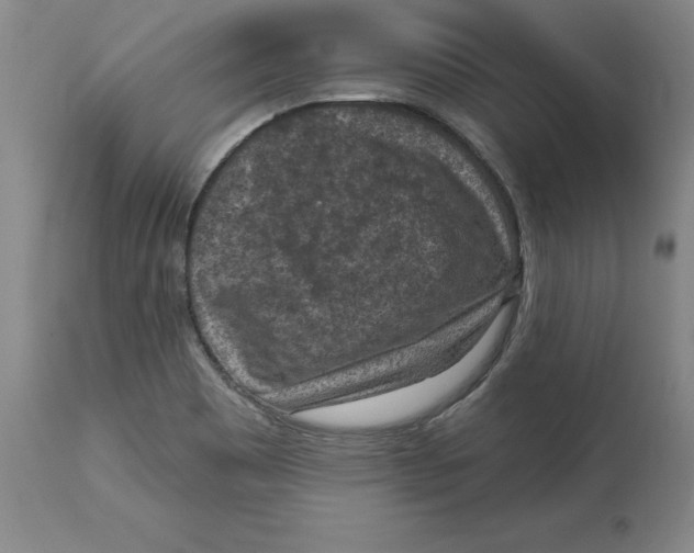 X0000114691465200911181242