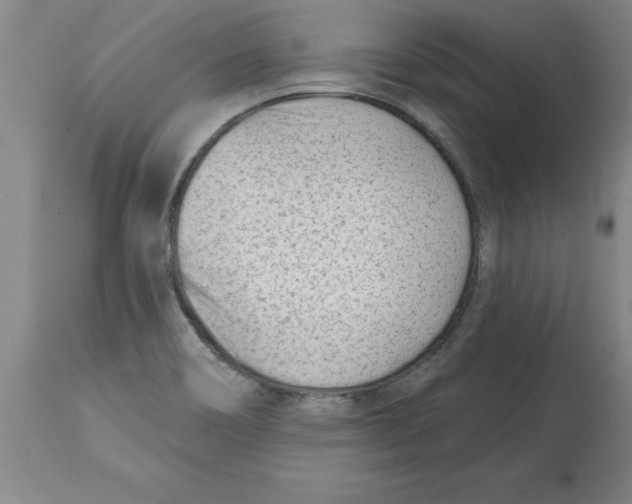 X0000114691466200911181242