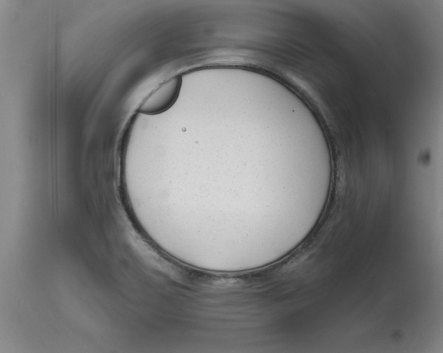 X0000114691467200911181242