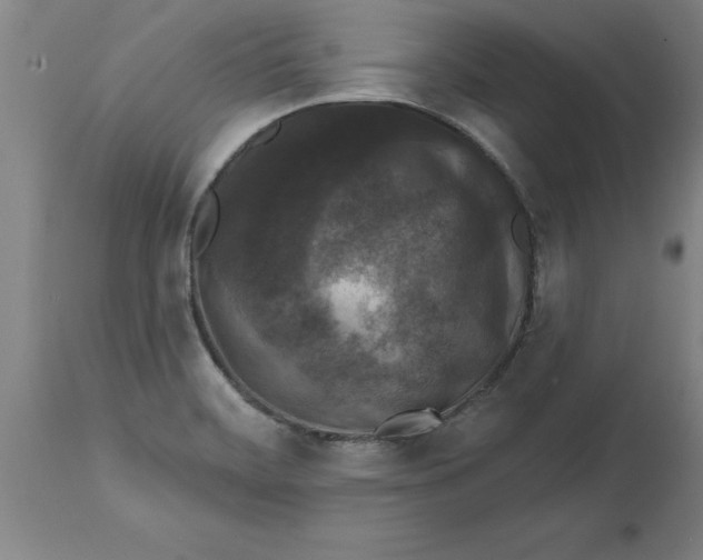 X0000114691468200911181242