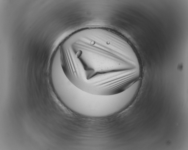 X0000114691469200911181242