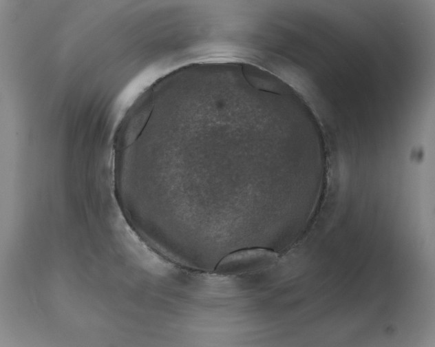 X0000114691472200911181242