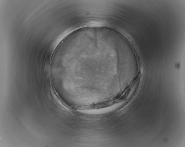 X0000114691473200911181242