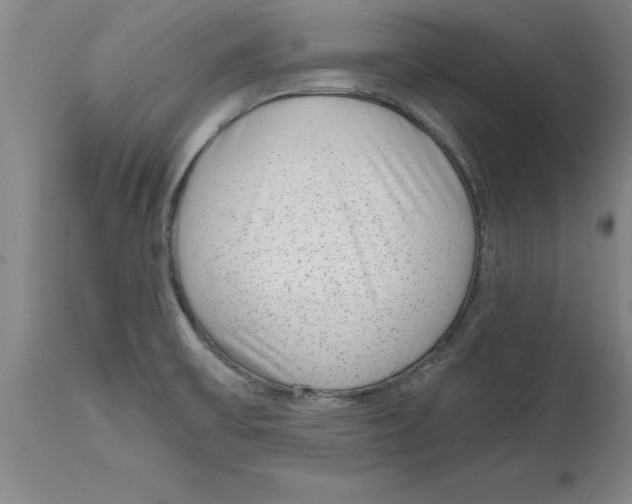 X0000114691475200911181242