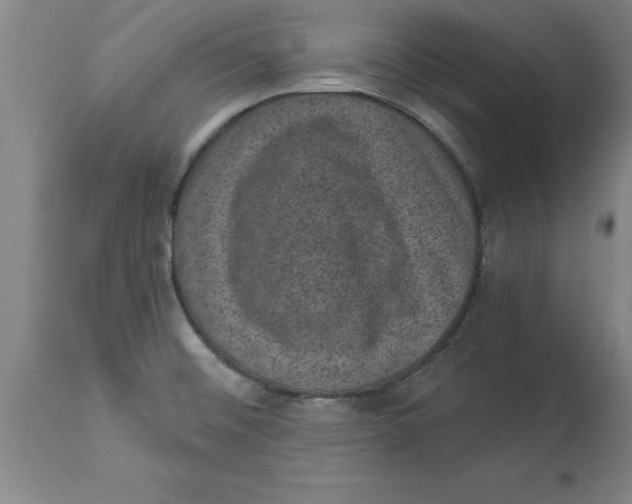 X0000114691476200911181242