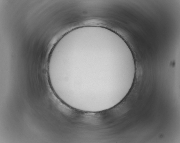 X0000114691478200911181242