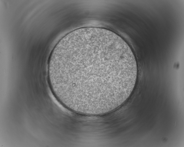 X0000114691479200911181242