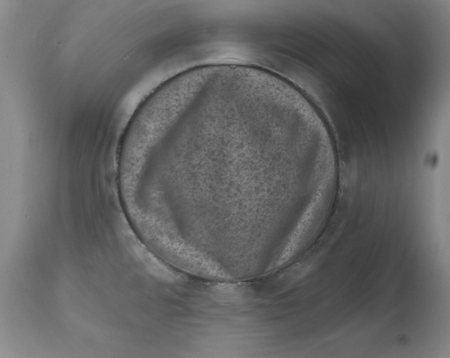 X0000114691480200911181242