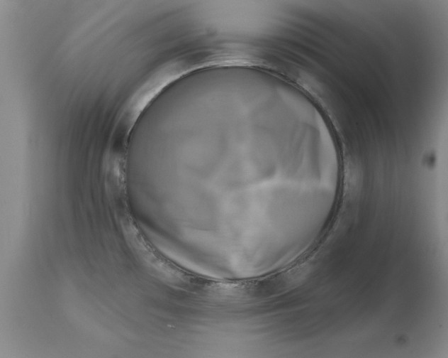 X0000114691481200911181242