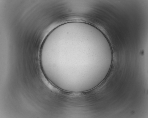 X0000114691482200911181242