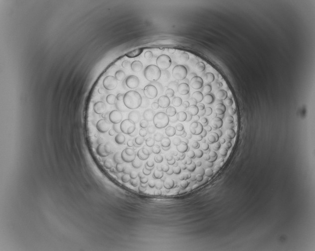 X0000114691483200911181242