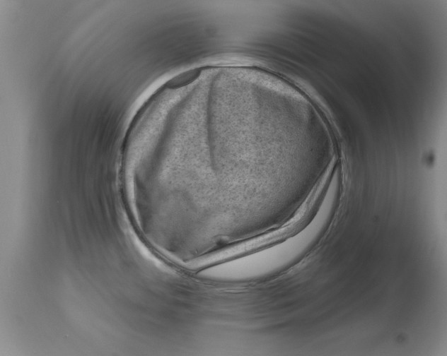 X0000114691484200911181242