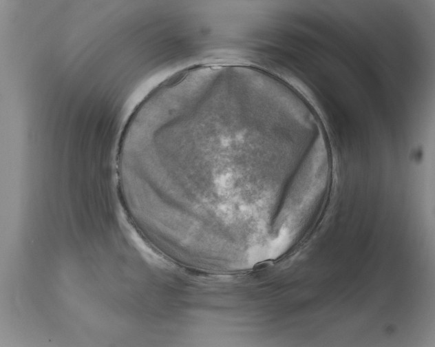 X0000114691485200911181242