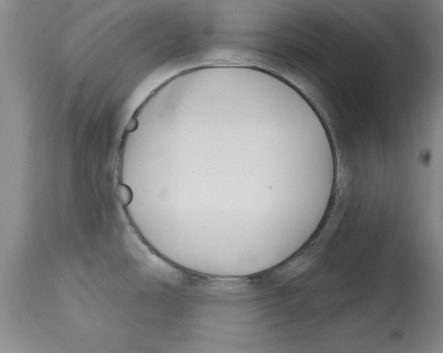 X0000114691486200911181242