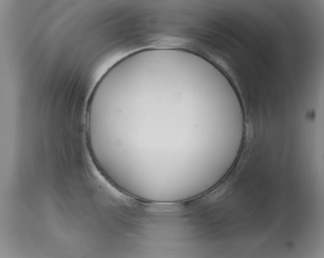 X0000114691487200911181242