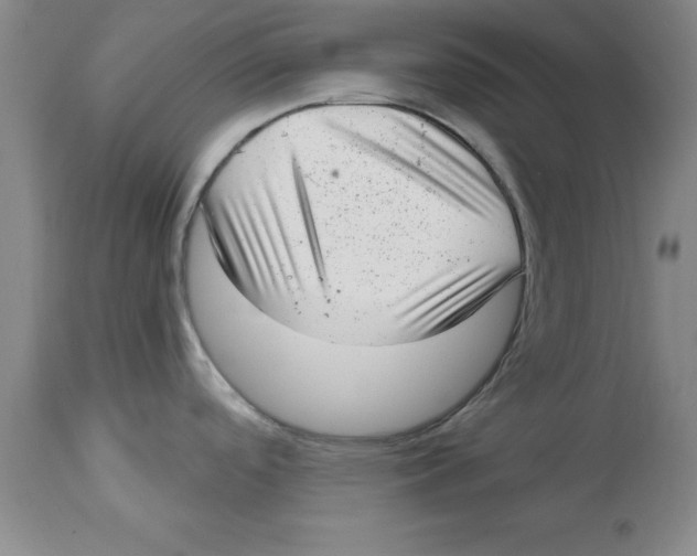 X0000114691488200911181242