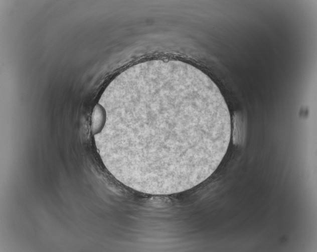 X0000114691491200911181241