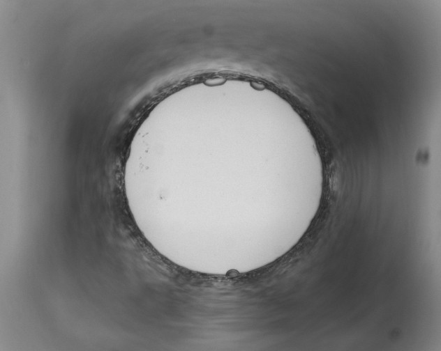 X0000114691495200911181241