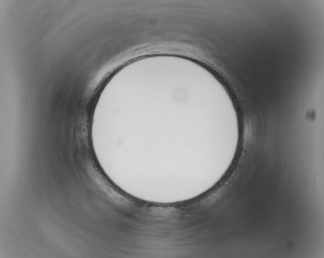 X0000114691498200911181241