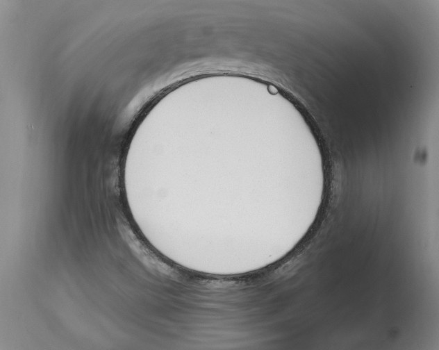 X0000114691499200911181241