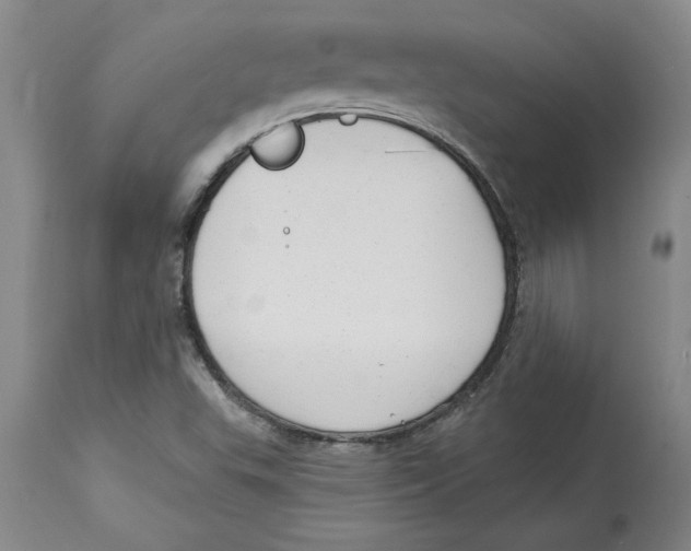 X0000114691503200911181241