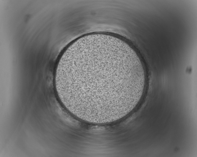 X0000114691505200911181241