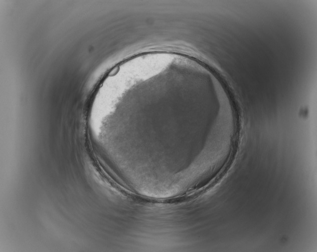 X0000114691506200911181241