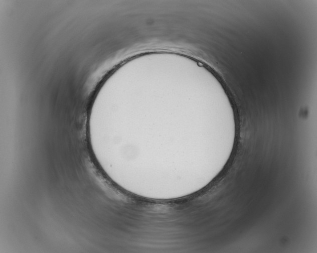 X0000114691507200911181241