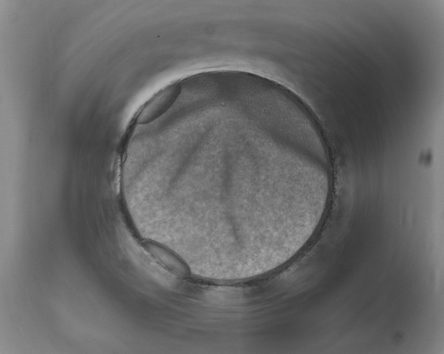 X0000114691510200911181241