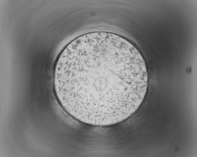 X0000114691514200911181241